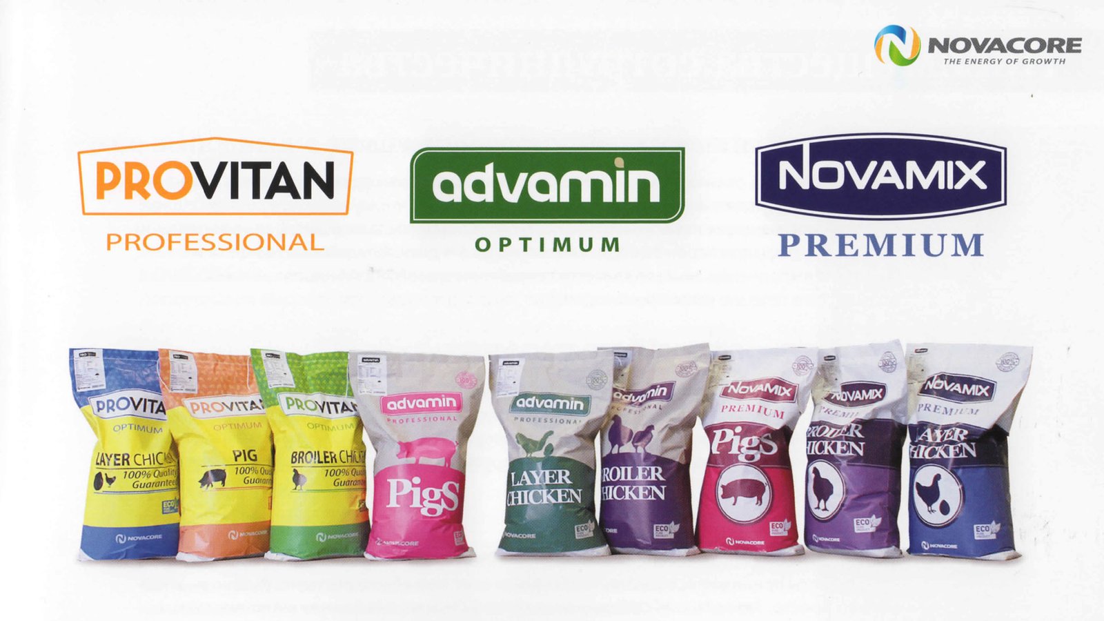 брендинг новакор novacor