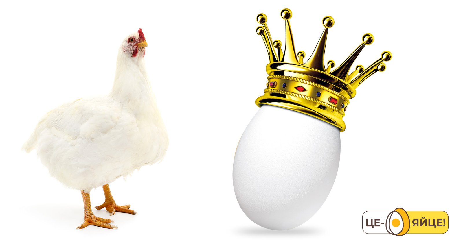 создание дизайна упаковки яйца