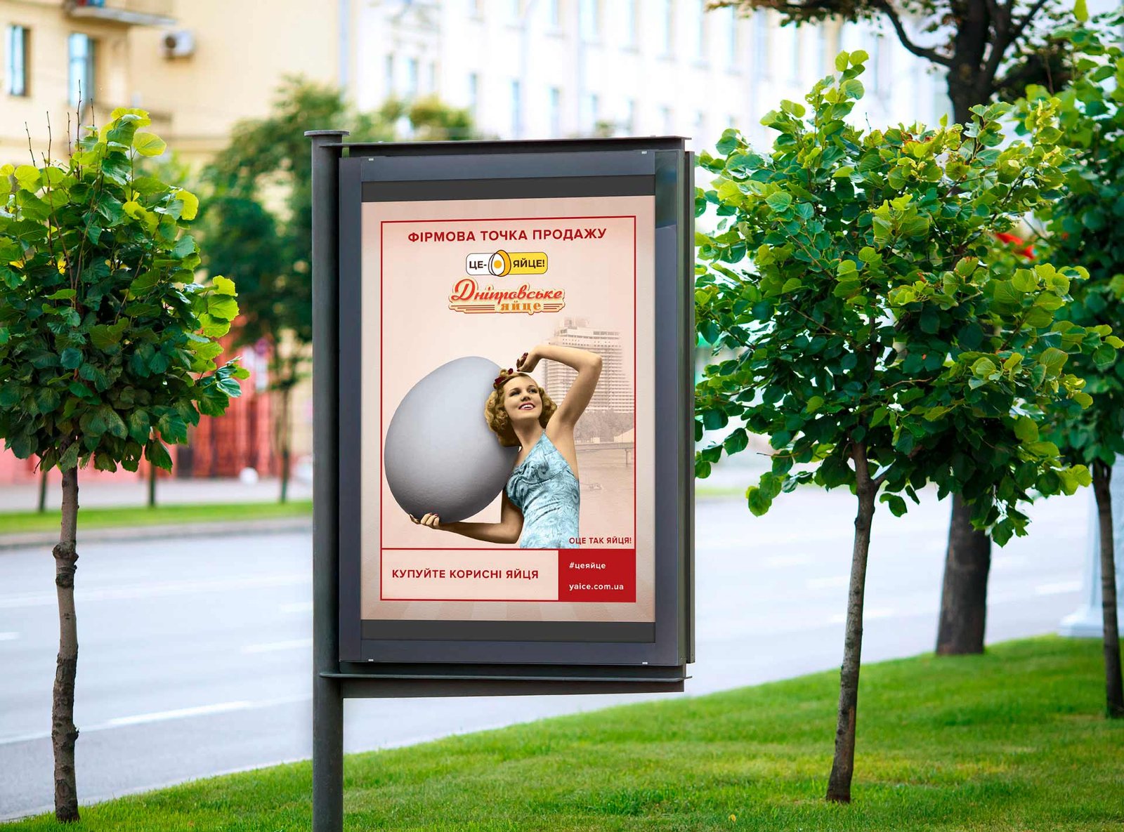 розробка плаката для фірмових точок продажу яйця дніпровського