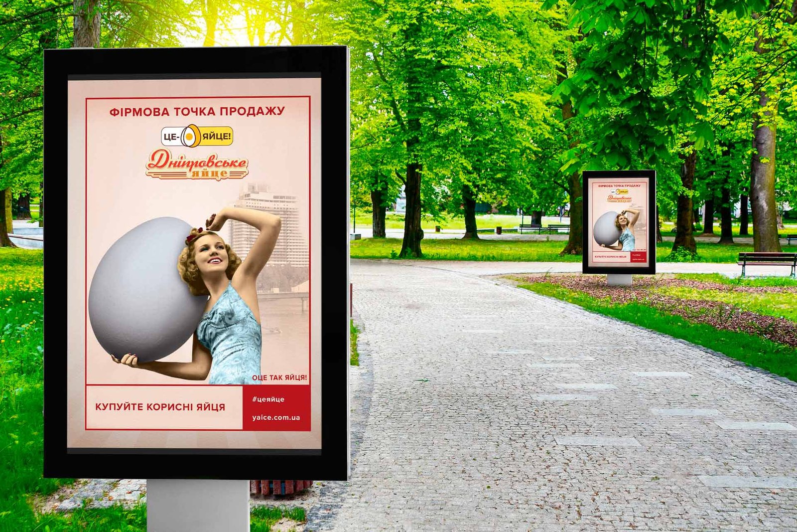 розробка плаката для фірмових точок продажу яйця дніпровського