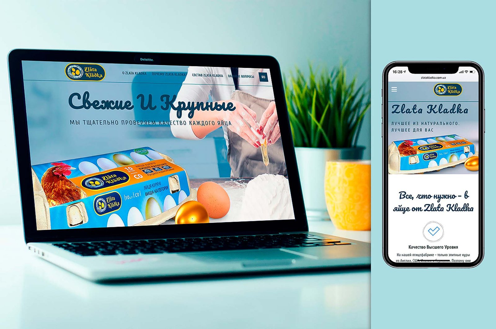 разработка интернет сайта бренда яйца, Zlata Kladka, GBS Решения для брендов