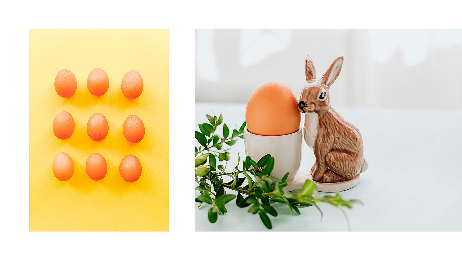 разработка бренда яйца злата кладка zlata kladka, решения для брендов, gbs