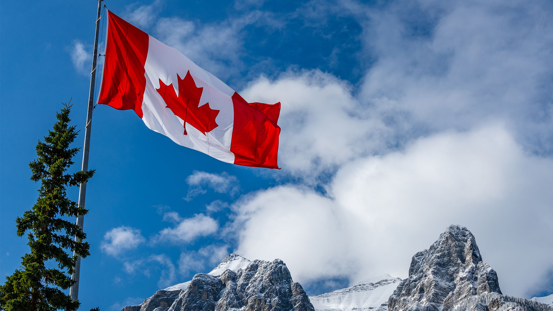 брендинг строительных материалов