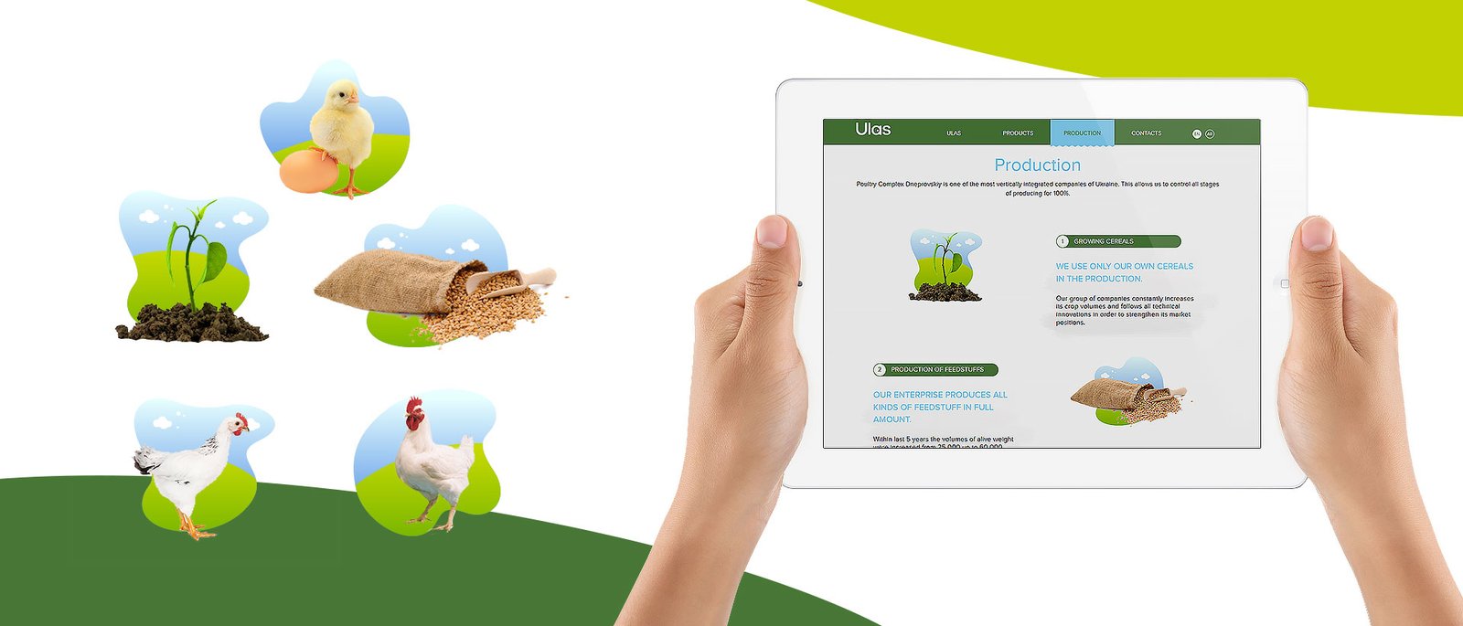 разработать сайт и контент маркетинг