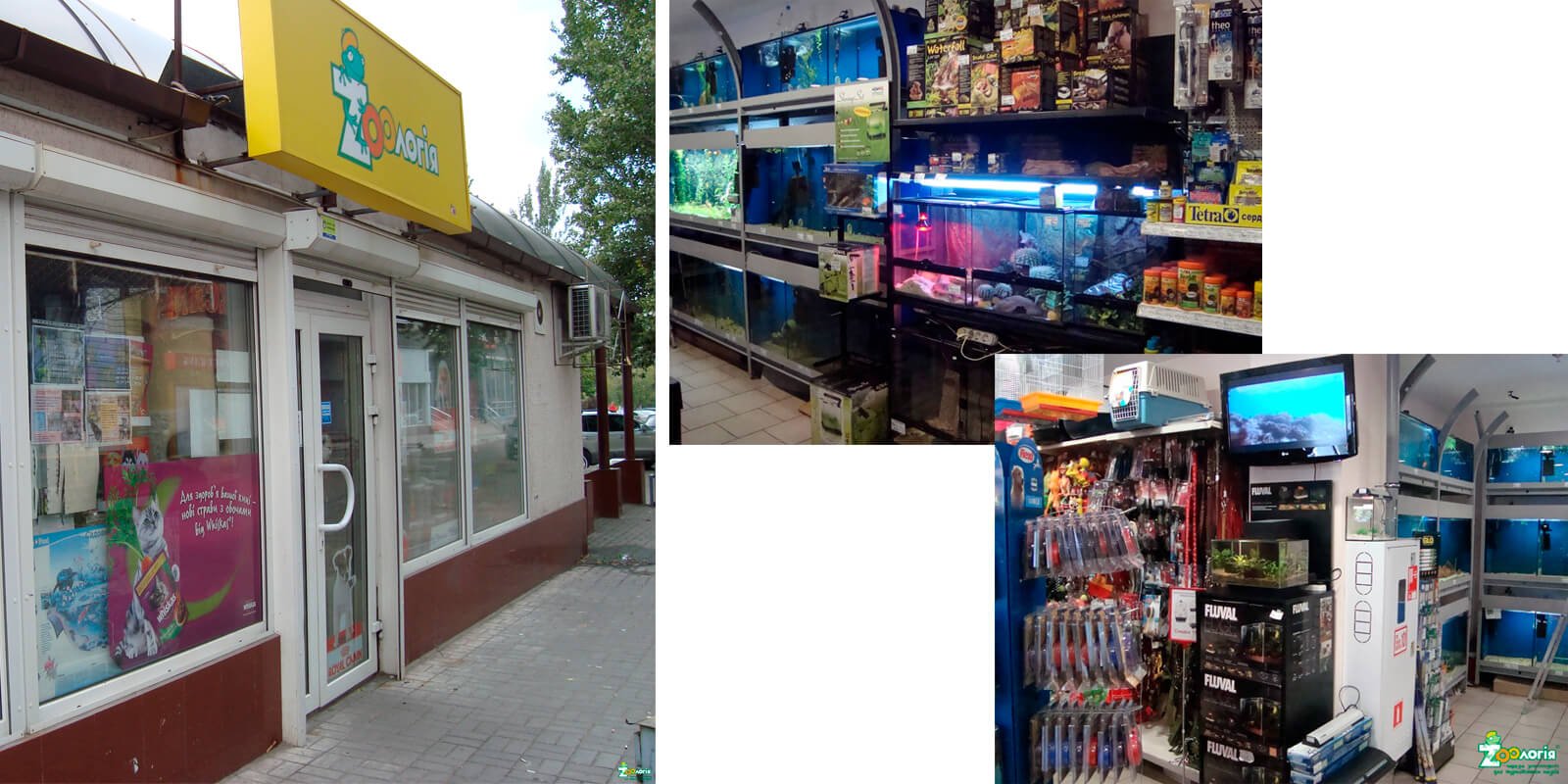 разработка брендинга сети магазинов, франшиза для сети магазинов, gbs, решения для брендов