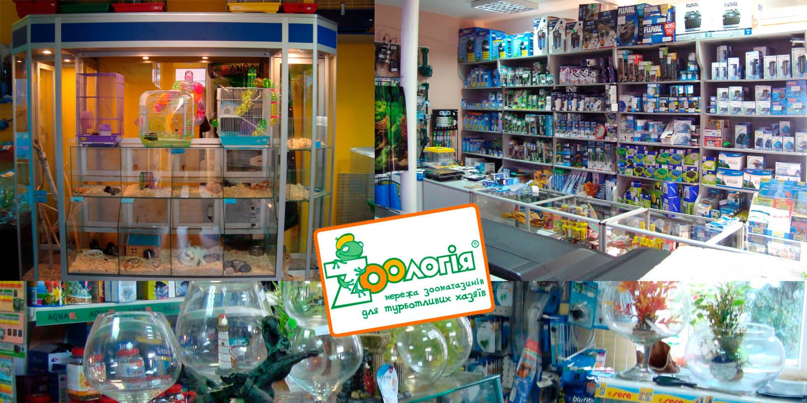 разработка брендинга сети магазинов, франшиза для сети магазинов, gbs, решения для брендов