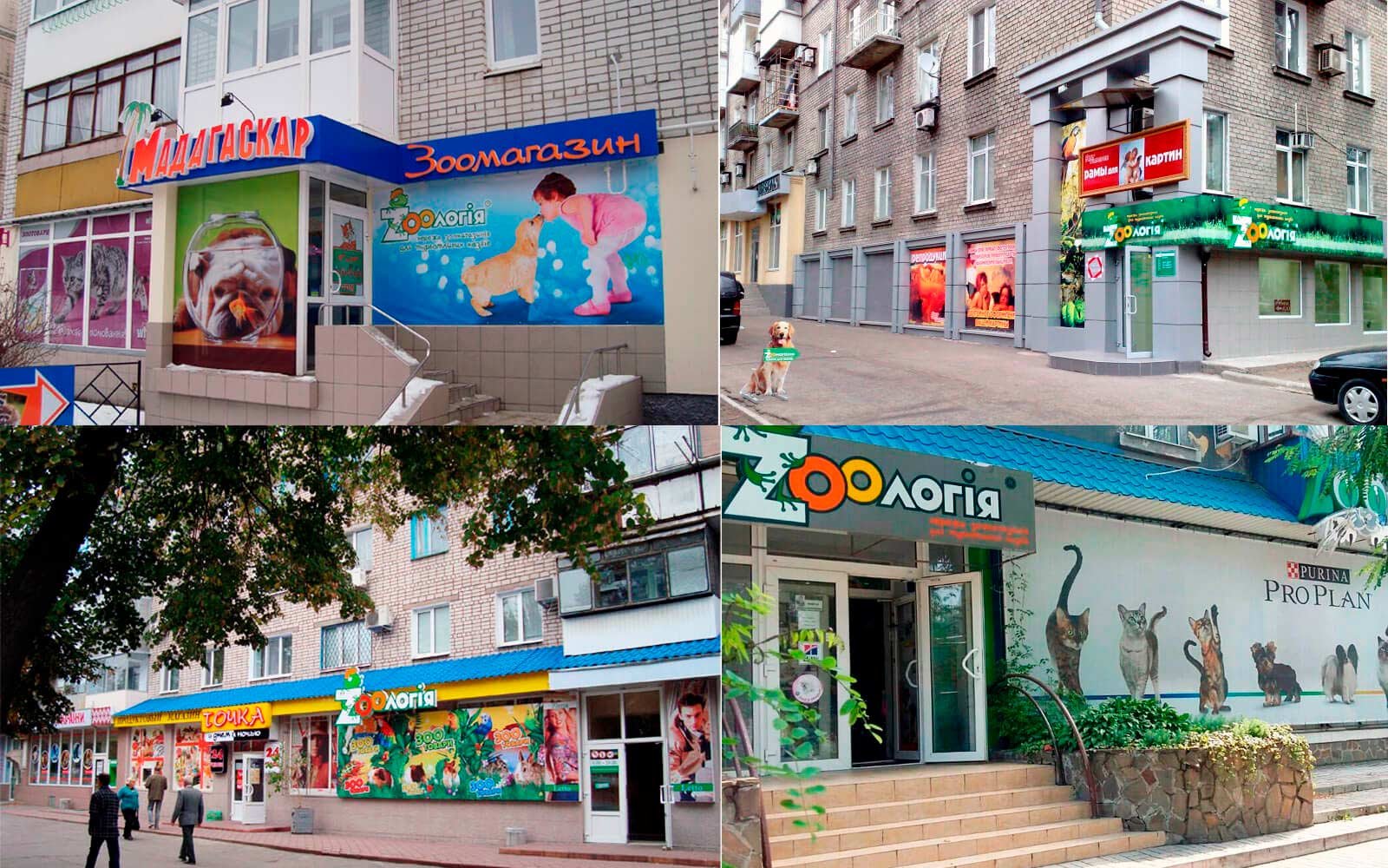 разработка брендинга сети магазинов, франшиза для сети магазинов, gbs, решения для брендов